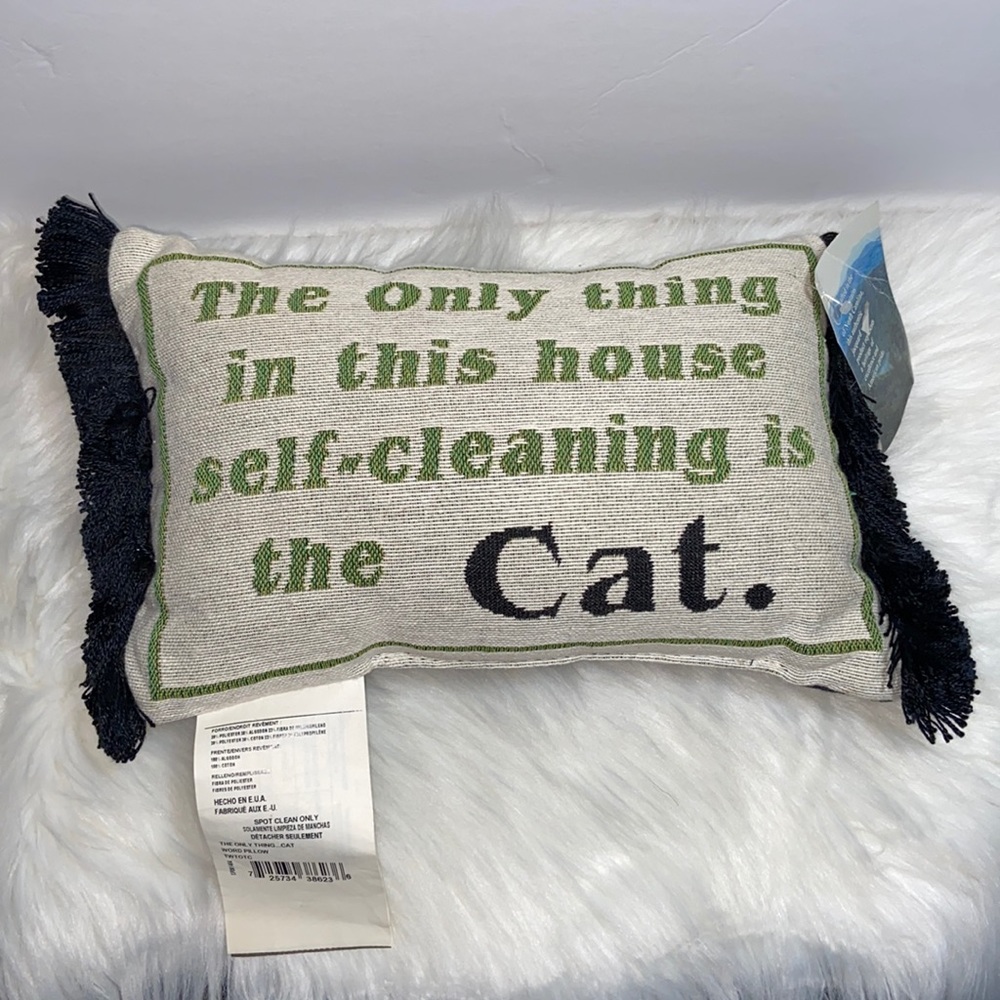 “ The Only thing in this house self-cleaning…..” Accent Pillow